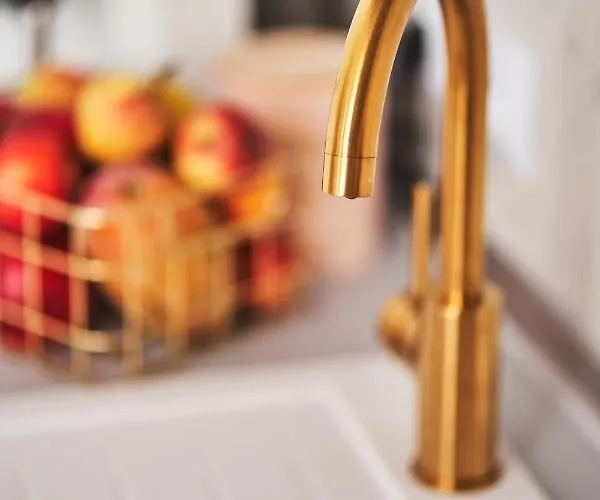 Profesorskie * 슈체친